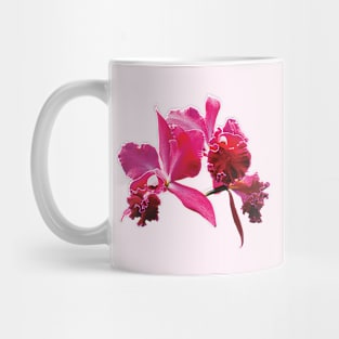 Magenta Orchids Mug